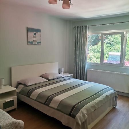 Montana Slanic Apartment Luaran gambar