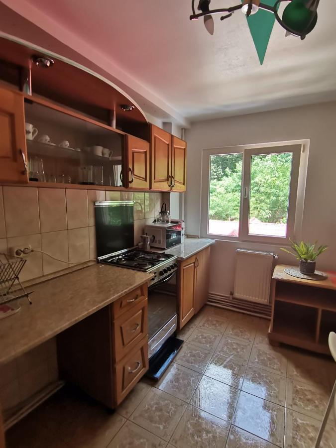 Montana Slanic Apartment Luaran gambar