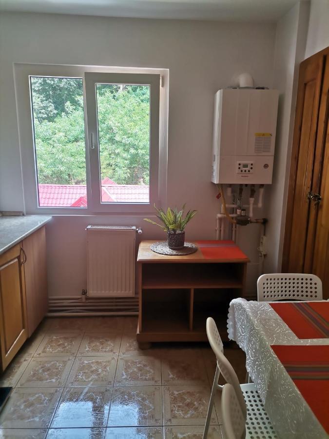 Montana Slanic Apartment Luaran gambar